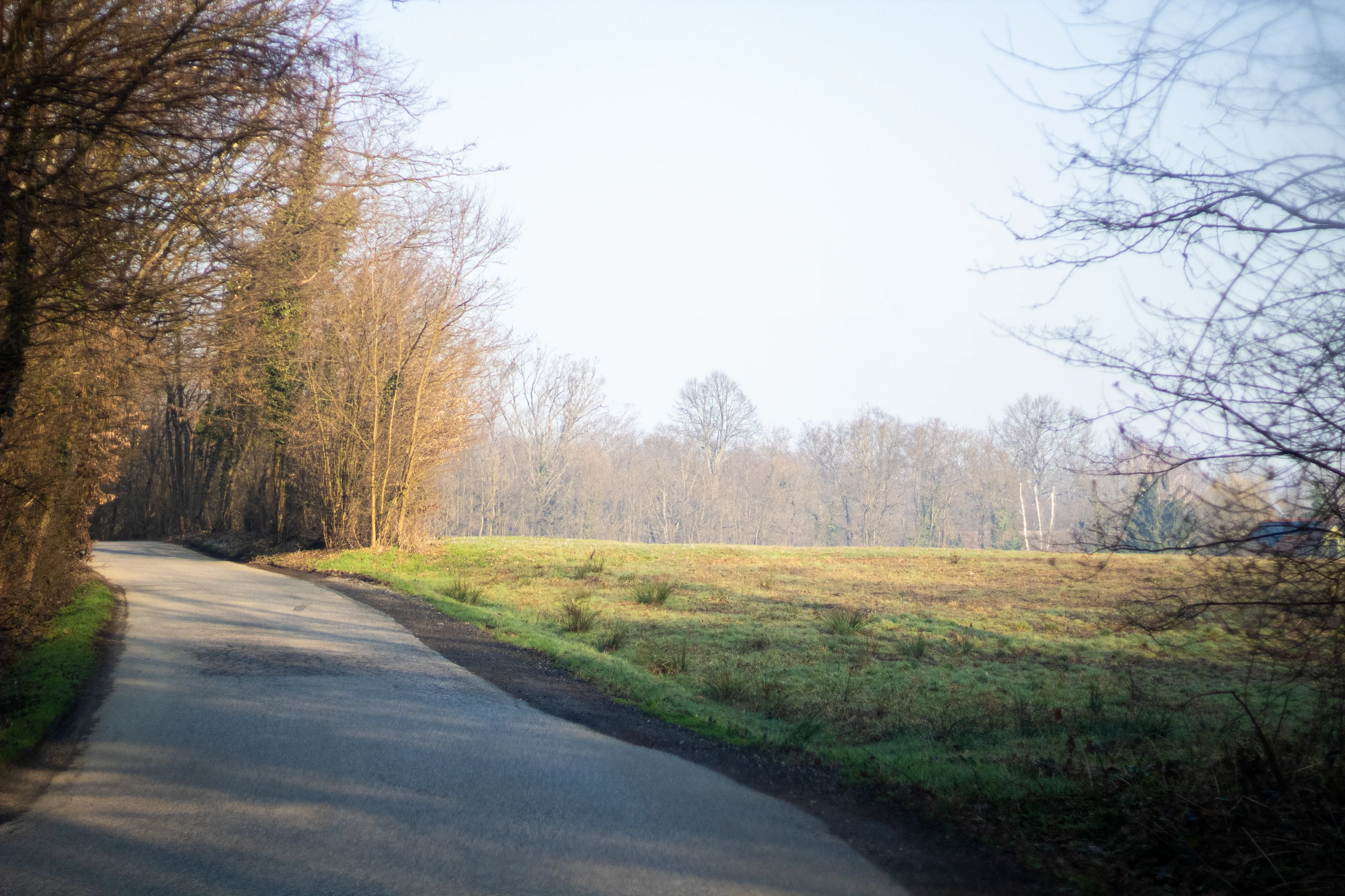 Portfolio image
